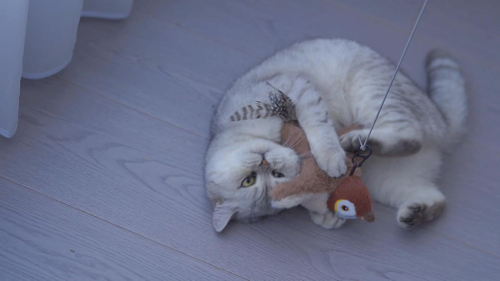 Flapping Bird Interactive Cat Toy, Chirping, Rechargeable,Touch Activated